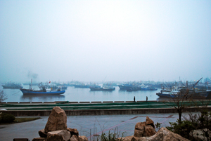 Fishing boats in harbor