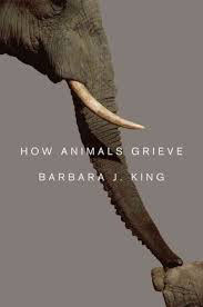 How Animals Grieve book cover