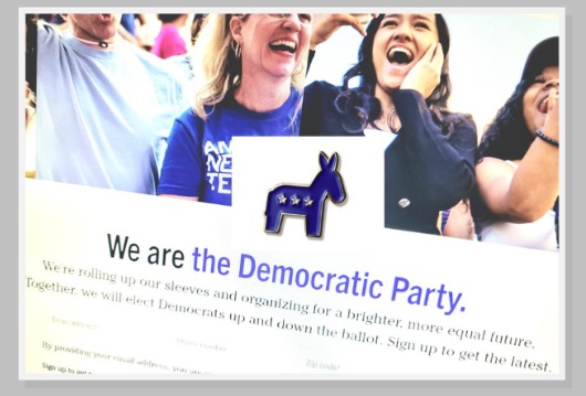 Screen shot of DNC website