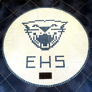 EHS