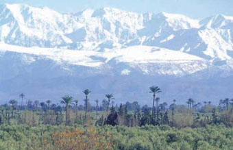 Morocco with palm trees and mountains