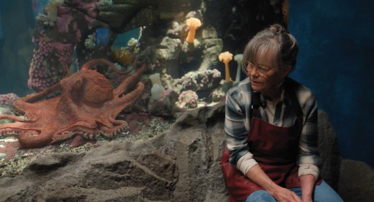 Sally Field in a scene from Remarkably Bright Creatures