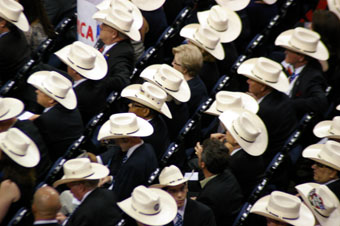 Texas delegation at RNC, 2012