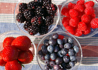 assortment of berries