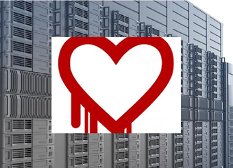 Heartbleed Server