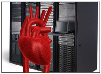Heartbleed servers