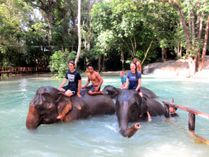 Riding elephants