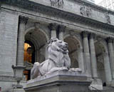 New York library