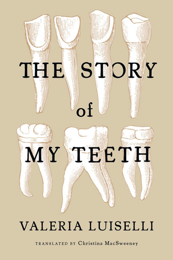 Cover art of The Story of My Teeth