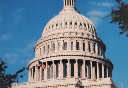 Photo of U.S. Capitol Bldg; photo for Thursday Review